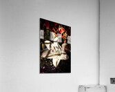 Floristry of closure Acrylic Print