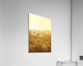 Bushland of western dynamics Acrylic Print