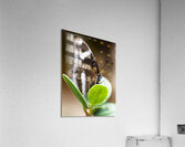 Beautiful Butterfly Acrylic Print