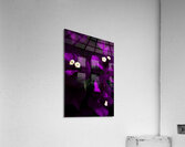 Dark Purple Bougainvillea Flowers Acrylic Print