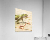 Australian water dragon Acrylic Print