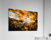 Instrumetal Acrylic Print