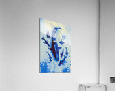 Topical  Acrylic Print