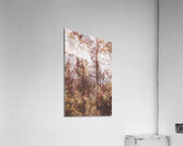 Backcountry colour Acrylic Print