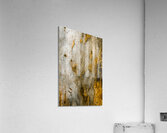 From the woodland Acrylic Print