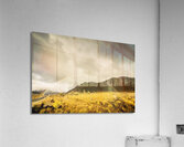 Raindrops in rainbows Acrylic Print