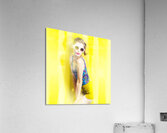 Beauty and fashion pinup girl Acrylic Print