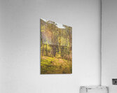 Lush country adventures Acrylic Print