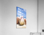 Vacation Acrylic Print