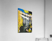 Gorge Bridge Acrylic Print