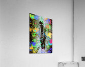 Skating pop art Acrylic Print