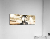 Turn Loose The Doves Acrylic Print