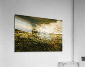 Avoca fields and mountains Acrylic Print