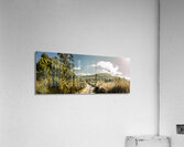Outback country road panorama Acrylic Print