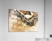 Summers Past Acrylic Print