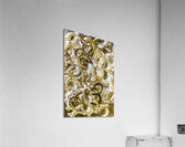 Horseshoe patterning Acrylic Print