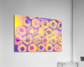 Pencil honeycomb Acrylic Print