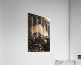 Bean to Australia Acrylic Print