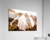 Waratah wild waterfall Acrylic Print