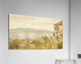 Hills trees and pastel browns Acrylic Print