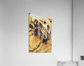 Jaw dropping horror Acrylic Print