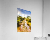 Scenic roads less travelled Acrylic Print