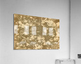 Carnivals and corn Acrylic Print