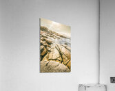 Bicheno foreshore Acrylic Print