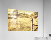 Old farming landscape Acrylic Print