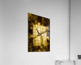 Case of a unsolved crime Acrylic Print