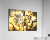 Helm of power Acrylic Print