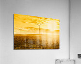 Musselroe Wind Farm Acrylic Print