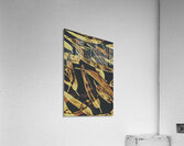 Sepia toned image of floating eucalyptus leaves Acrylic Print