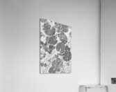 Floating abstraction Acrylic Print