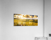 Gorgeous golden sunset field  Acrylic Print