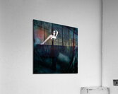 Moody portrait of an elegant mysterious woman Acrylic Print