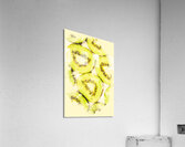Full Frame Shot Of Fresh Kiwi Slices With Seeds Acrylic Print