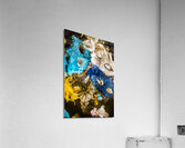 Showgirl Stagecraft Acrylic Print