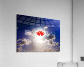 Sky Bound Romance Acrylic Print
