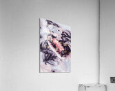 Bear Exotics Acrylic Print