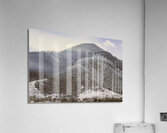 Sun lit serenity Acrylic Print