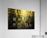 Tarkine Tasmania Trails Acrylic Print