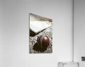 Vintage cricket Acrylic Print