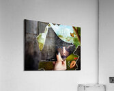 Mysterious jester found wonderland in a reflection Acrylic Print