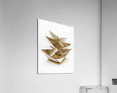 Bearing maps Acrylic Print