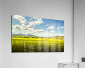 Farmland colour Acrylic Print