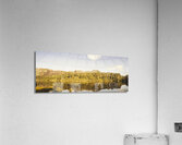 Treepanning Acrylic Print