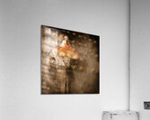 Fantasy fine art portrait. Elegant vampire woman Acrylic Print