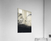 Grey winds bellow  Acrylic Print