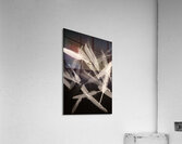 Zened Acrylic Print